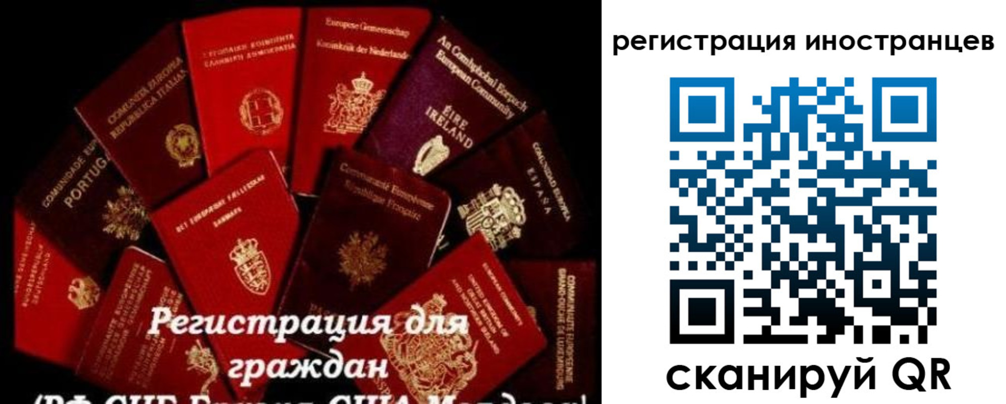 прописка иностранных граждан в Балее
